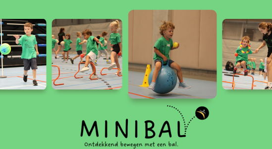 Minibal